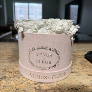 Venus Et Fleur Pearl Sheen Roses in Blush Suede Box